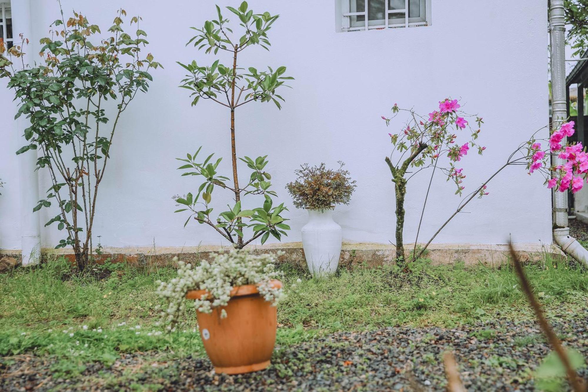 Qiwi House *